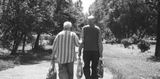 Jak dobrać długość wkrętów do drewna?