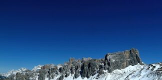 Jak samemu zrobić nawóz do kwiatów?