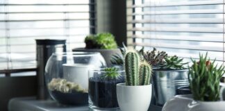 Czy warto kupić garnki Zwieger?