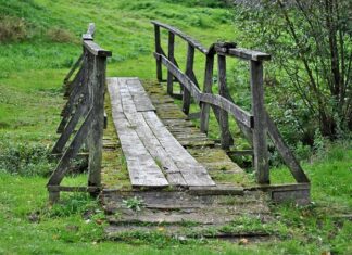 Jak długo goi się mostek?