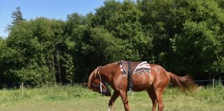 Kiedy nie montować okien?