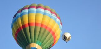 Jak zwiększyć wilgotność kwiatów?