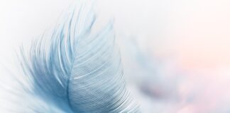 Czy wiatr może wyrwać roletę?