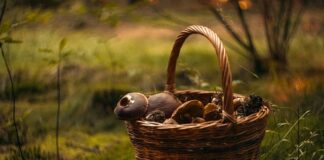 Jak zebrać firanki?