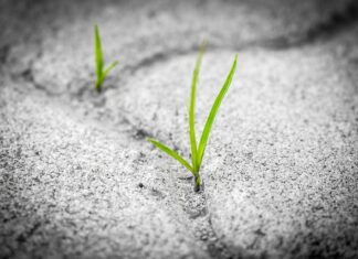 Jaka jest trwałość paneli winylowych?