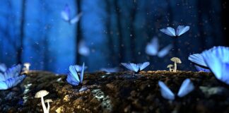 Jakie wkręty do drewna czarne czy złote?