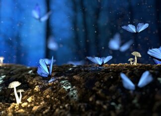 Jakie wkręty do drewna czarne czy złote?