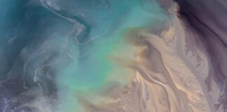 Jakie żarówki są najbardziej oszczędne?