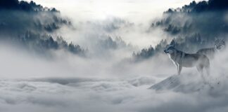 Czy zimą rozszczelnić okna?