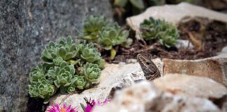 Jak wyczyścić tłuste plamy z rolety dzień i noc?