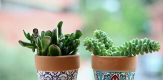 Ile garnków w kuchni?