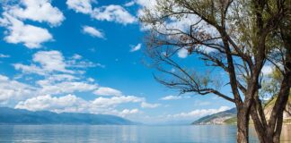 Jak działa system dali?