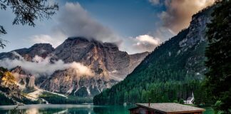 Jak sterować światłem w domu?