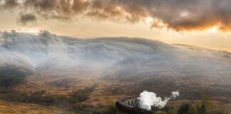 Co to są przelotki?