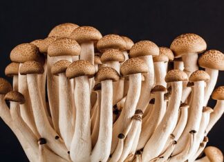 Co położyć na ścianę w jadalni?