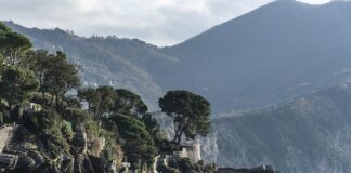 Ile kosztuje regulacja okien plastikowych?