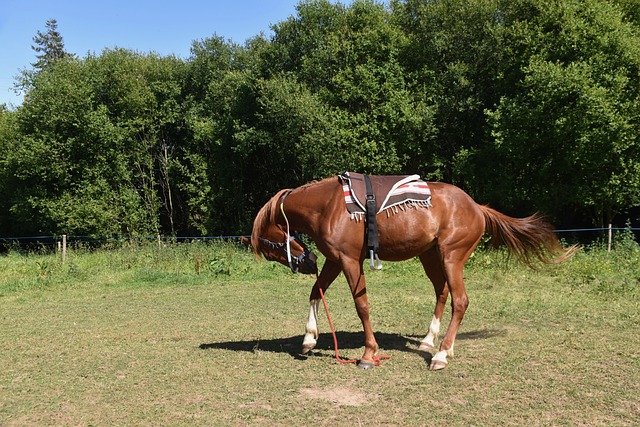 Kiedy najlepiej montować okna? Kiedy najlepiej montować okna?