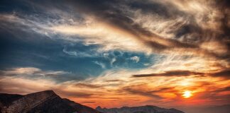 Do której godziny można trzepać dywan?