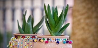 Czy można przechowywać zupę w garnku ze stali nierdzewnej?