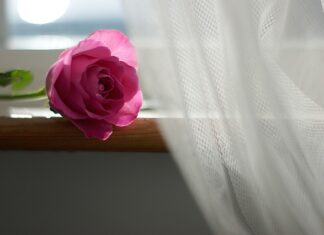 Jak ładnie upiąć firanki?