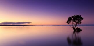 Ile wody można wlać do basenu Bestway?