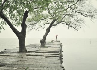 Jak połączyć dwie płyty meblowe?