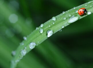 Jaką pościel do kampera?