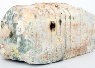 Jak penicylina zabija bakterie?