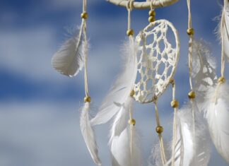 Do czego są Lapaczki? Do czego są Lapaczki?