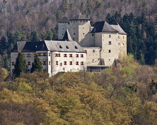 Co to jest naba w kierownicy?