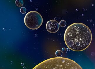 Ile oleju na 5 litrów benzyny?