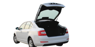 Jaką skode warto kupić?