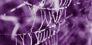 Jak sprawdzić czy cześć jest oryginalna?