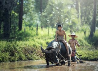 Jak pielęgnować skórzaną kierownicę?