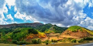 Jak dobrać nakładkę na kierownicę?