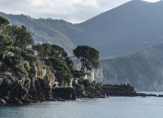 Ile kosztuje nowy samochód Renault Kangoo?