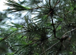 Co trzeba mieć w bagażniku od 31 października? Co trzeba mieć w bagażniku od 31 października?