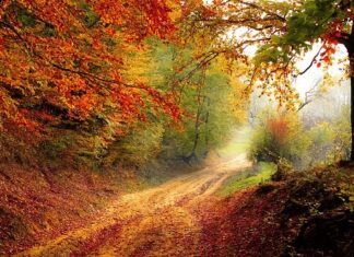 Jaki spadek dachu na 5 metrach? Jaki spadek dachu na 5 metrach?