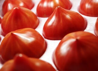 Co do kociołka na ognisko?