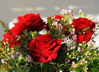 W jakim samochodzie jest najdroższy katalizator?