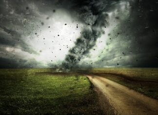 Ile kosztuje zmiana anglika na lewo?