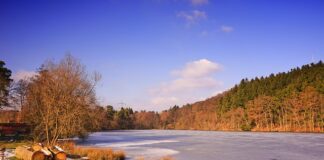 W jakiej temperaturze zamarza paliwo?