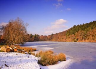 W jakiej temperaturze zamarza paliwo? W jakiej temperaturze zamarza paliwo?