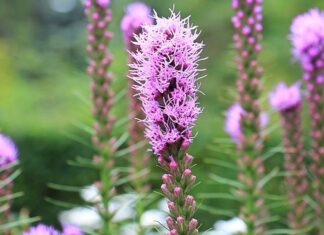 Co daje wycięcie katalizatora w benzynie? Co daje wycięcie katalizatora w benzynie?