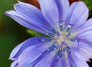 Jak znaleźć zamiennik części?