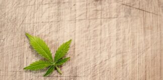 Czy gaśnica samochodowa musi mieć legalizację 2023?